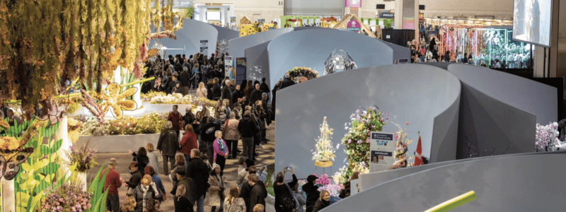Celebrating Floral Artistry: The Interflora UK World Cup 2023