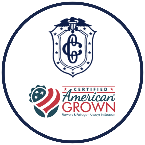 13-Dec-30-2025-03-19-38-9301-PM