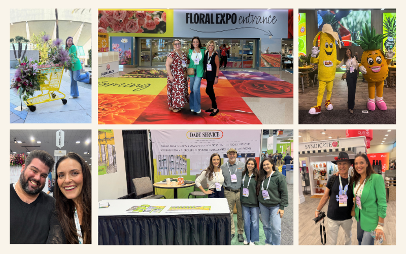 2-Nov-12-2025-03-31-33-2619-PM