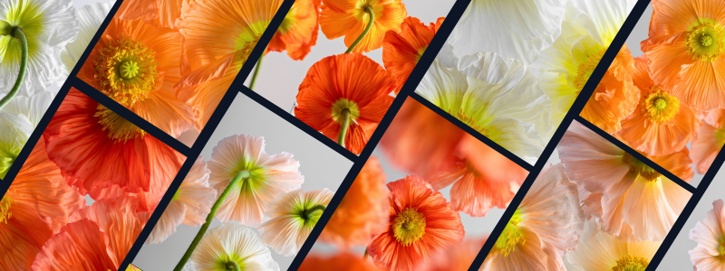 22-Nov-26-2025-04-30-25-9902-PM