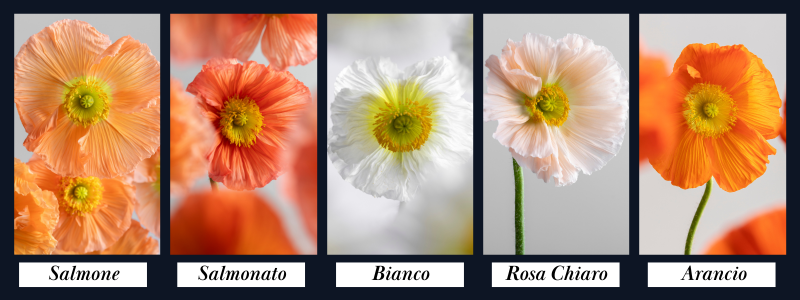 23-Nov-26-2025-04-30-34-1106-PM