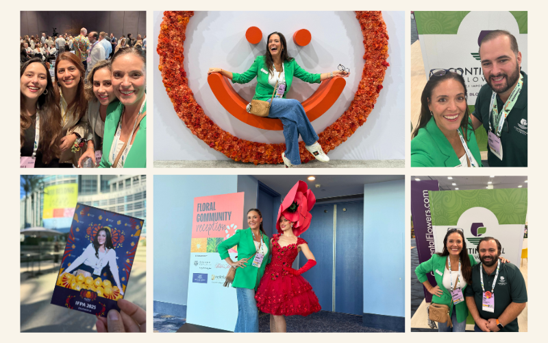 3-Nov-12-2025-03-31-53-9001-PM