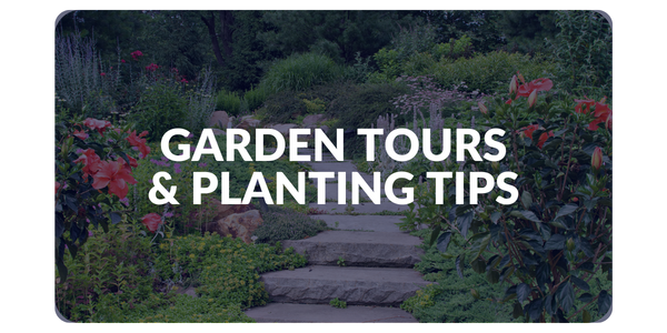 Garden Tours & Planting Tips