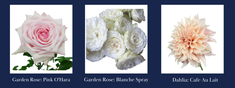 AXF-Dec-30-2025-04-57-46-8569-PM