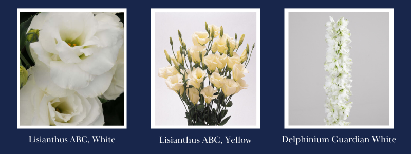 Ball-Dec-30-2025-04-40-48-6865-PM