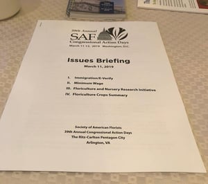 Details SAFCAD Issues Briefing