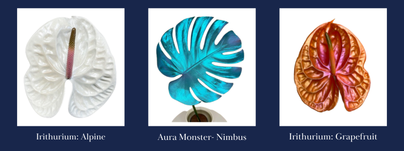 HOS-Dec-30-2025-04-52-23-8380-PM