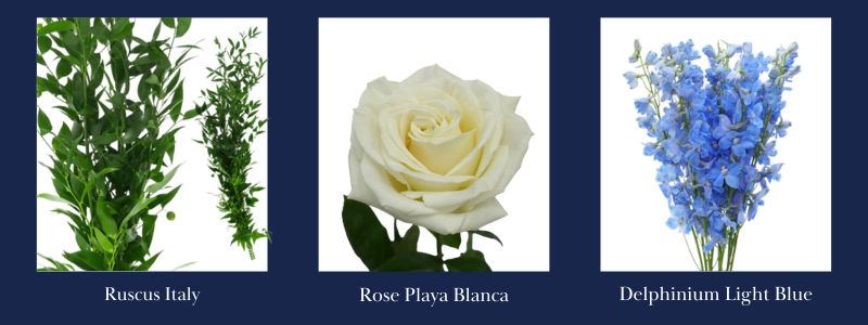 Jet Fresh-Dec-30-2025-04-46-56-9966-PM