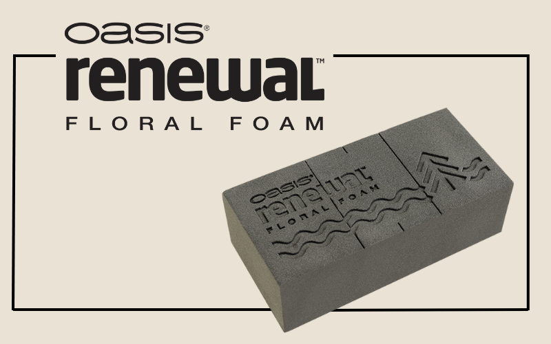 Large Blog Images #2 (1)-Oct-24-2025-03-56-38-5442-PM