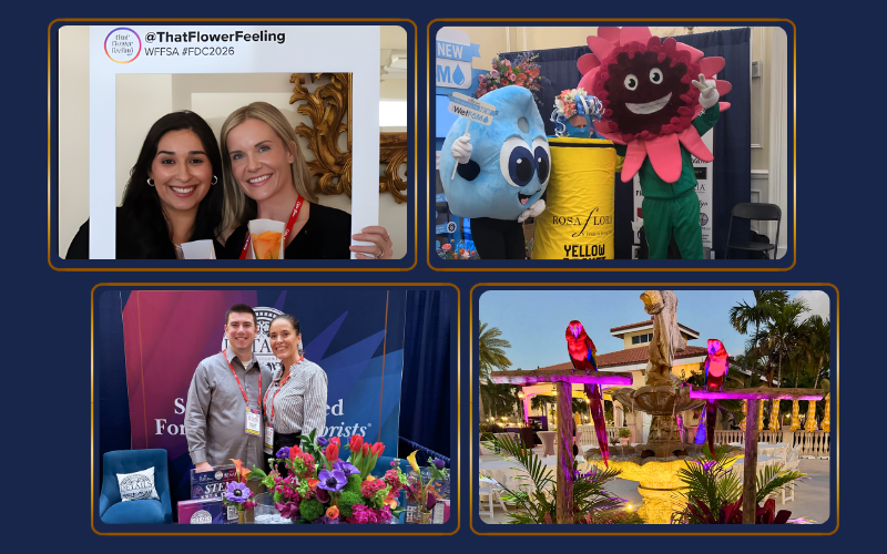 Large Blog Images #2-Mar-11-2026-08-29-25-3740-PM