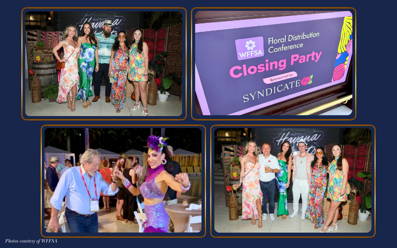 Large Blog Images #2-Mar-12-2026-06-01-55-0269-PM