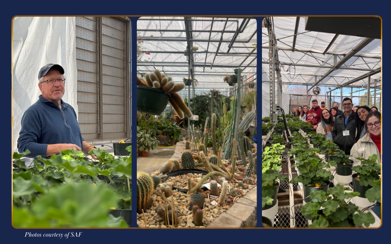 Large Blog Images (11)