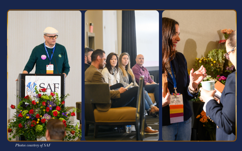 Large Blog Images (2)-Mar-03-2026-03-23-30-6585-PM