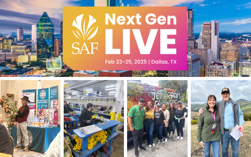 SAF Membership Essentials with Kate Penn