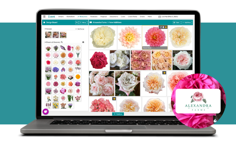 Large Blog Images-Jun-04-2025-04-16-08-0264-PM