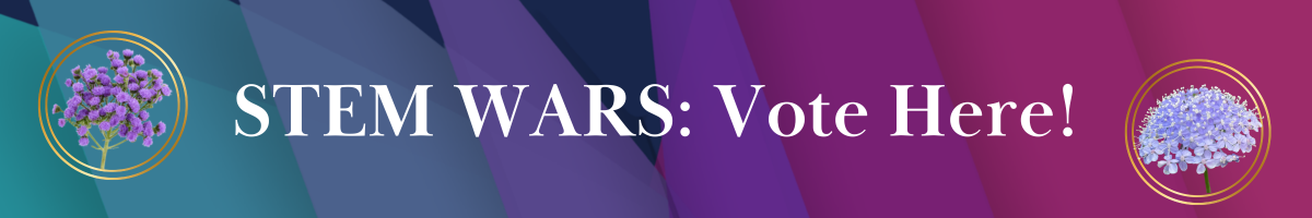 Link in Bio-Mar-17-2026-09-04-36-6121-PM