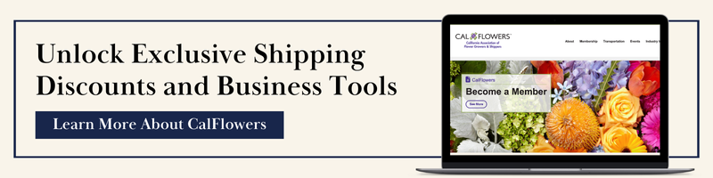 Newsletter Banners 2025-Dec-18-2025-09-24-57-2386-PM