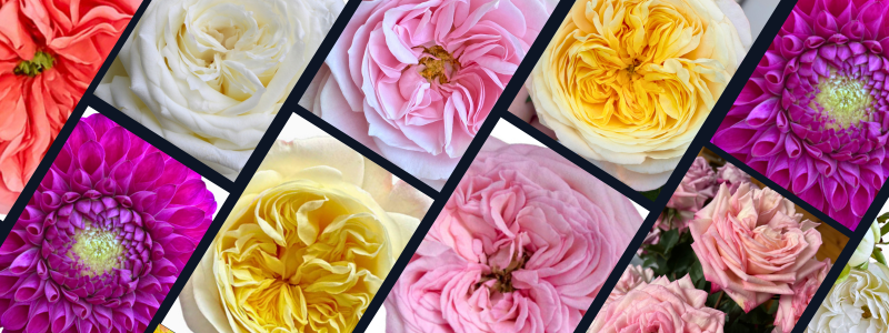 Thin Blog Images (11)-Apr-21-2026-03-54-30-4099-PM