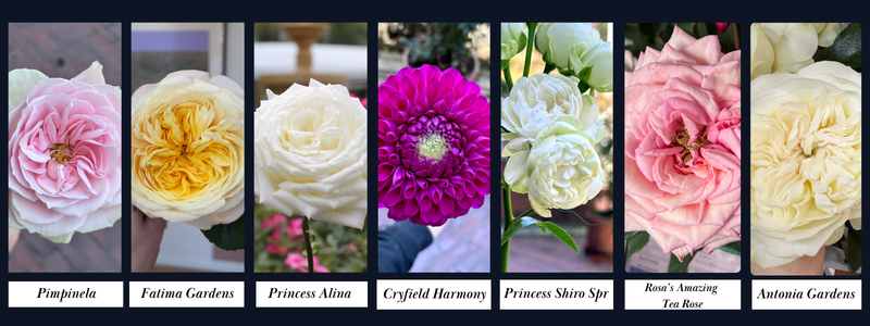 Thin Blog Images (12)-4