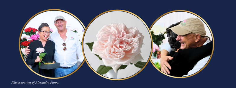 Thin Blog Images (15)-2