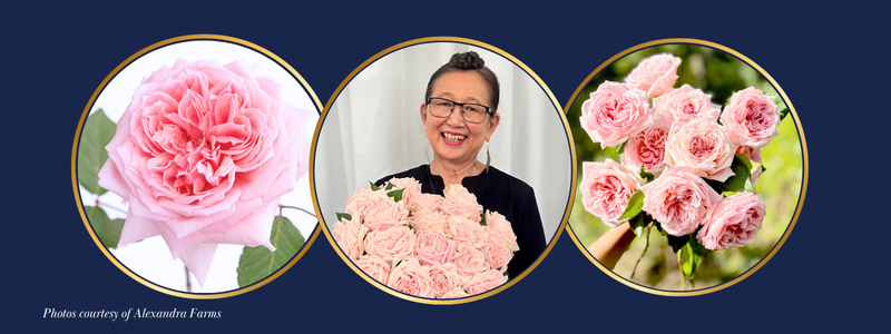 Thin Blog Images (16)-2