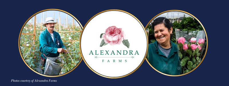 Thin Blog Images (17)-2