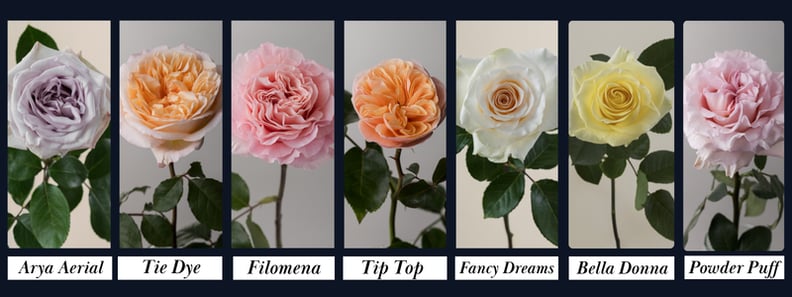 Thin Blog Images (5)-Apr-13-2026-07-16-08-5504-PM