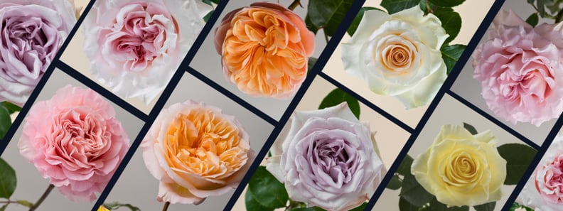 Thin Blog Images (6)-Apr-13-2026-07-16-58-2046-PM