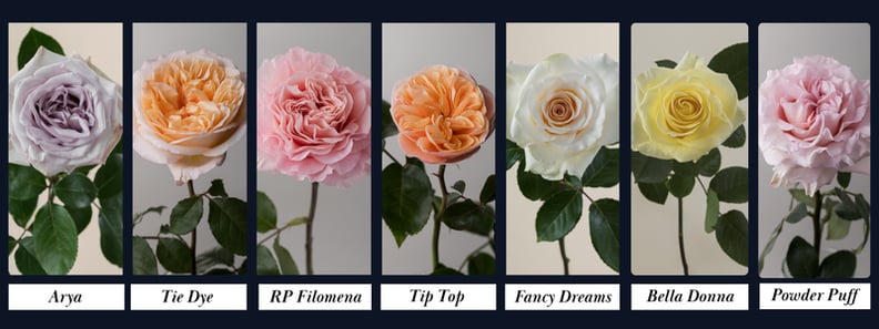 Thin Blog Images (8)-4