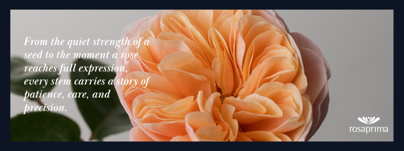 Thin Blog Images-Apr-13-2026-06-16-49-2660-PM