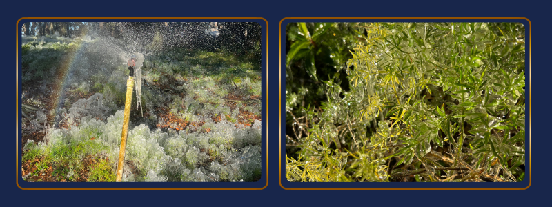 Thin Blog Images-Feb-03-2026-02-40-50-6803-PM