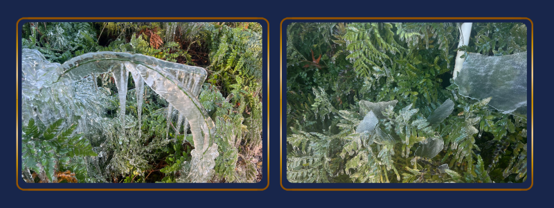 Thin Blog Images-Feb-03-2026-02-53-47-9152-PM