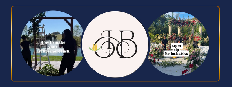 Thin Blog Images-Feb-03-2026-06-18-05-0195-PM