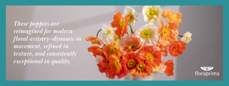 Thin Blog Images-Nov-12-2025-04-53-02-4229-PM