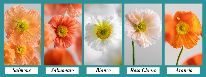 Thin Blog Images-Nov-12-2025-04-54-54-4551-PM