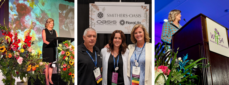 Thin Blog Images-Oct-24-2025-03-37-22-5485-PM