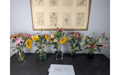 The Floral Foundations Experiment by Renee Tucci AIFD PFCI