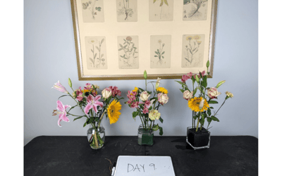 The Floral Foundations Experiment by Renee Tucci AIFD PFCI