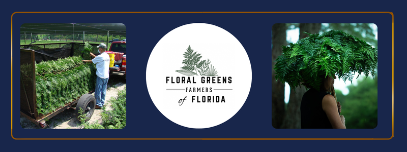 floralgreensfarmersofflorida