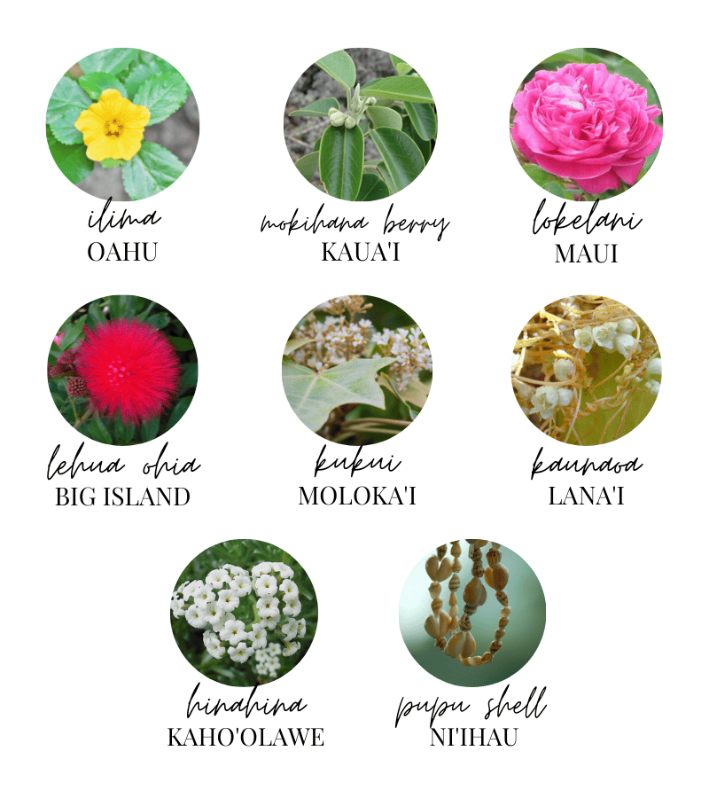 Flowers of Hawaii